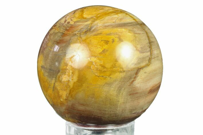 Colorful Petrified Wood (Araucaria) Sphere - Madagascar #286135